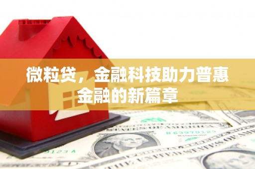安仁微粒贷，金融科技助力普惠金融的新篇章