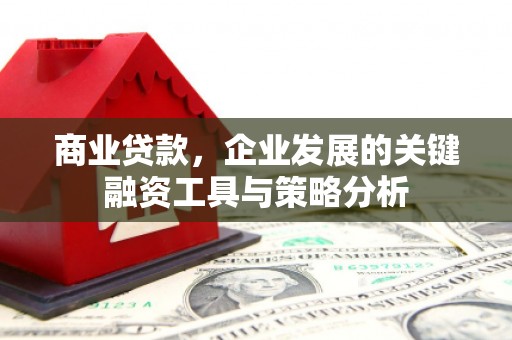 安仁商业贷款，企业发展的关键融资工具与策略分析