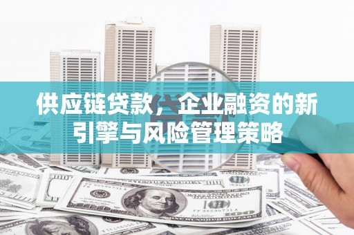 安仁供应链贷款，企业融资的新引擎与风险管理策略