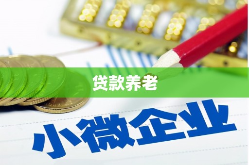 安仁贷款养老