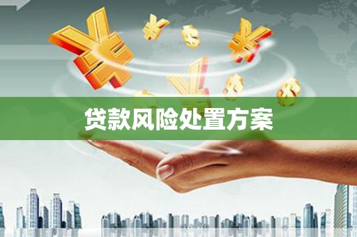 安仁贷款风险处置方案