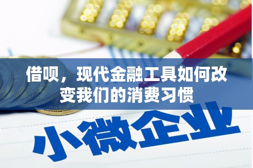 安仁借呗，现代金融工具如何改变我们的消费习惯
