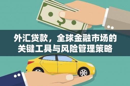 安仁外汇贷款，全球金融市场的关键工具与风险管理策略