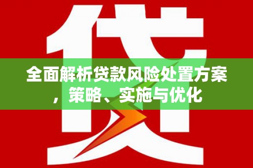 安仁全面解析贷款风险处置方案，策略、实施与优化