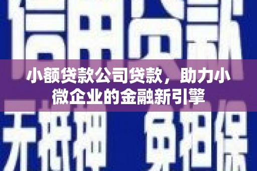 安仁小额贷款公司贷款，助力小微企业的金融新引擎