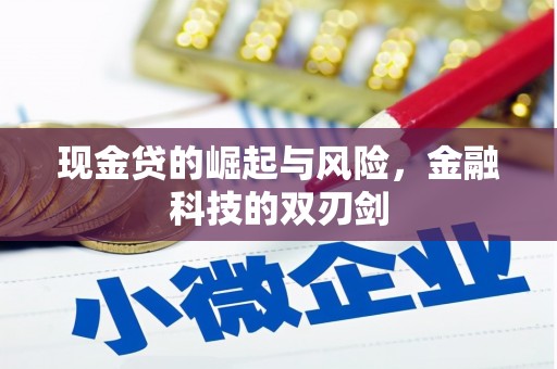 安仁现金贷的崛起与风险，金融科技的双刃剑
