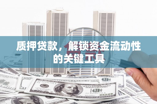 安仁质押贷款，解锁资金流动性的关键工具