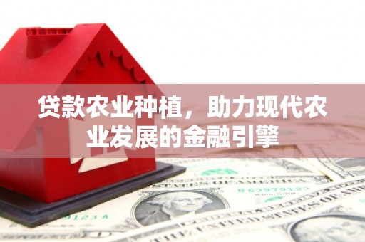 安仁贷款农业种植，助力现代农业发展的金融引擎