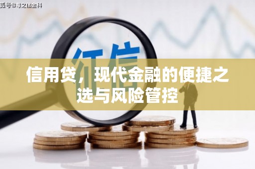 安仁信用贷，现代金融的便捷之选与风险管控