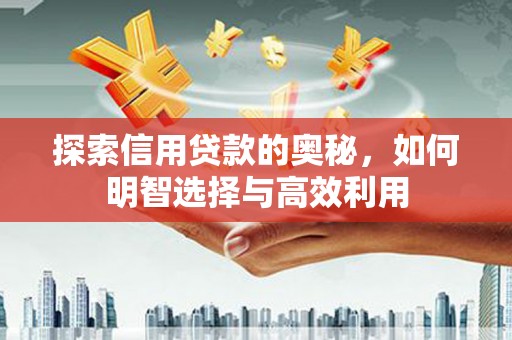 安仁探索信用贷款的奥秘，如何明智选择与高效利用