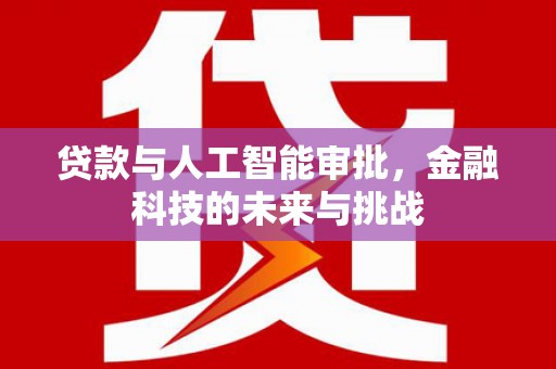 安仁贷款与人工智能审批，金融科技的未来与挑战