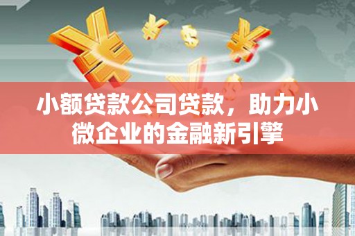 安仁小额贷款公司贷款，助力小微企业的金融新引擎