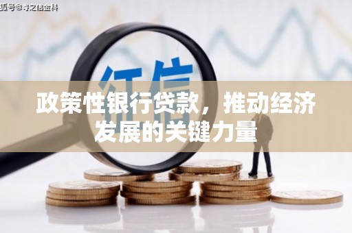安仁政策性银行贷款，推动经济发展的关键力量