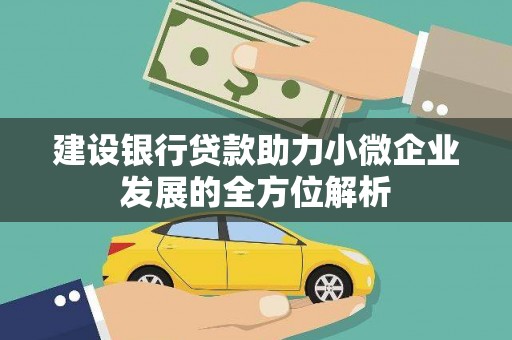 安仁建设银行贷款助力小微企业发展的全方位解析
