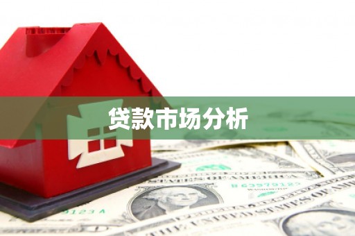 安仁贷款市场分析