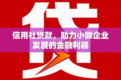 安仁信用社贷款，助力小微企业发展的金融利器