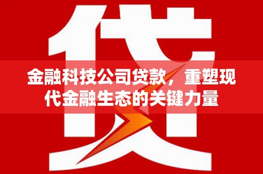 安仁金融科技公司贷款，重塑现代金融生态的关键力量
