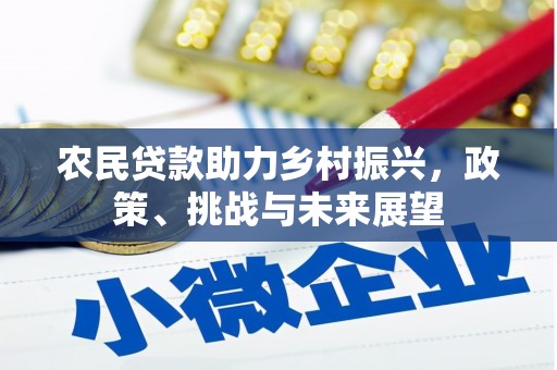 安仁农民贷款助力乡村振兴，政策、挑战与未来展望