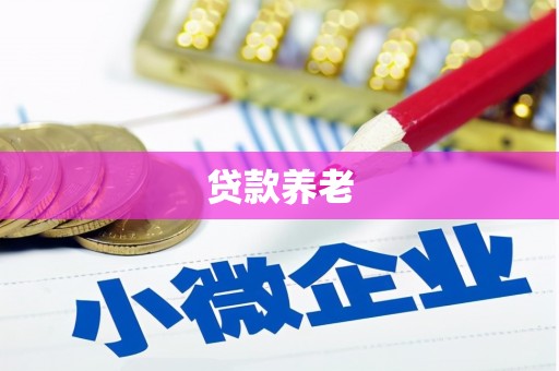 安仁贷款养老