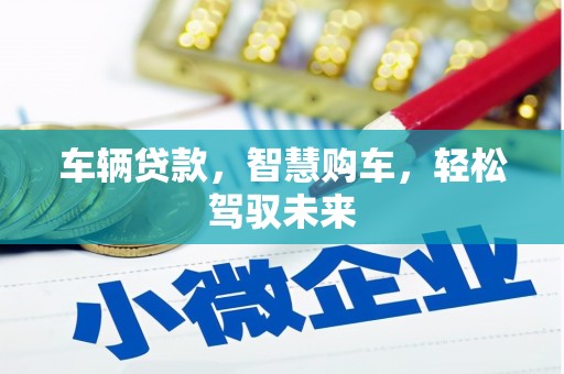 安仁车辆贷款，智慧购车，轻松驾驭未来