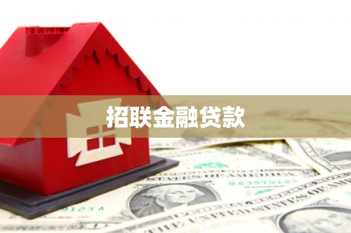 安仁招联金融贷款