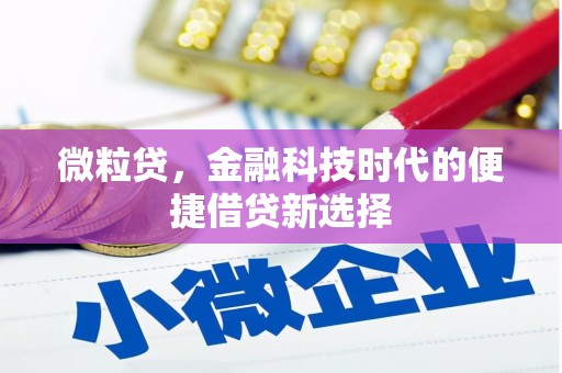 安仁微粒贷，金融科技时代的便捷借贷新选择