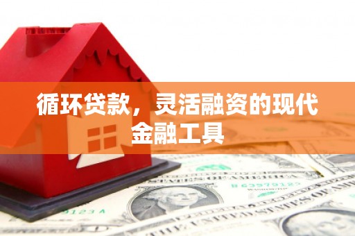安仁循环贷款，灵活融资的现代金融工具