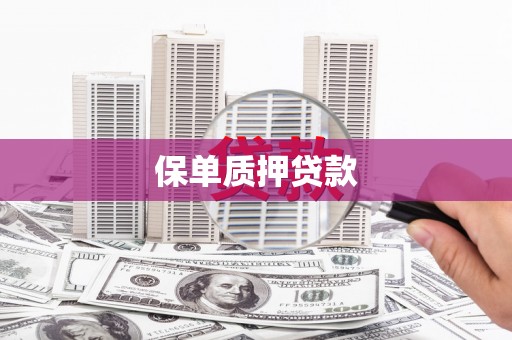 安仁保单质押贷款