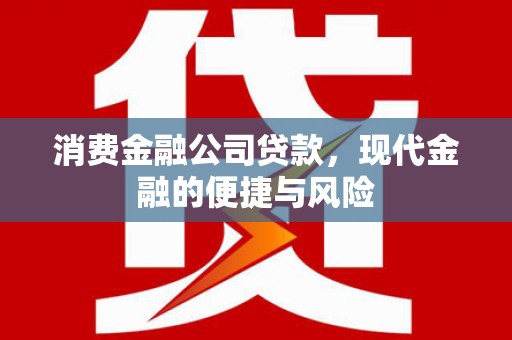 安仁消费金融公司贷款，现代金融的便捷与风险