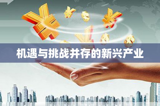 安仁机遇与挑战并存的新兴产业