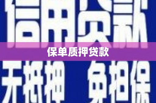 安仁保单质押贷款