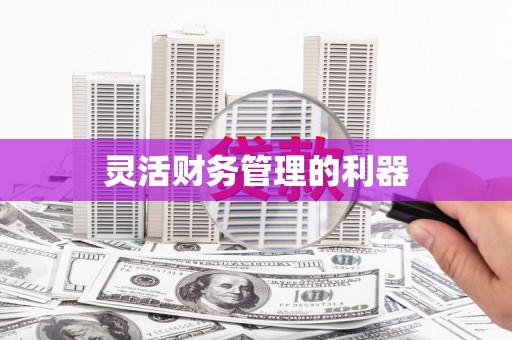 安仁灵活财务管理的利器