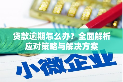 安仁贷款逾期怎么办？全面解析应对策略与解决方案