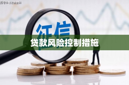 安仁贷款风险控制措施