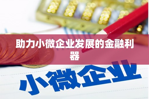 安仁助力小微企业发展的金融利器