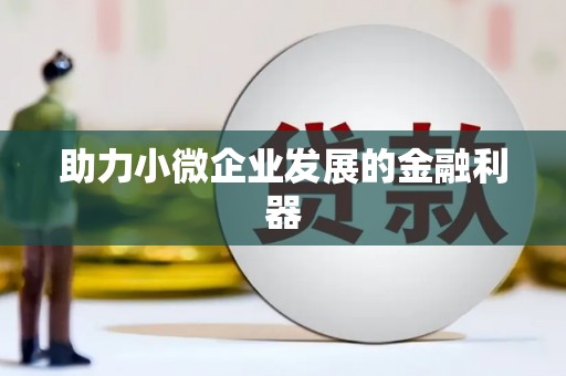 安仁助力小微企业发展的金融利器