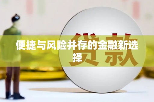 安仁便捷与风险并存的金融新选择