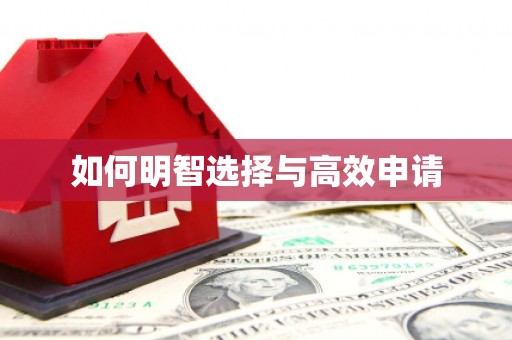 安仁如何明智选择与高效申请