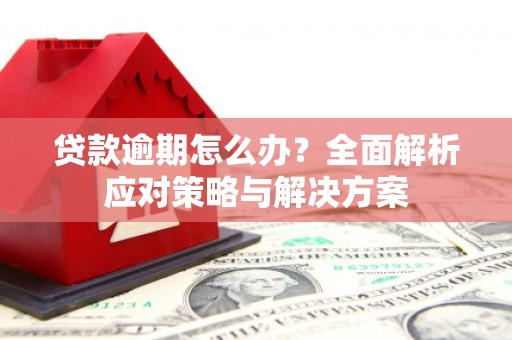 安仁贷款逾期怎么办？全面解析应对策略与解决方案