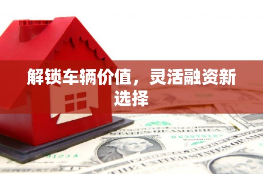 安仁解锁车辆价值，灵活融资新选择