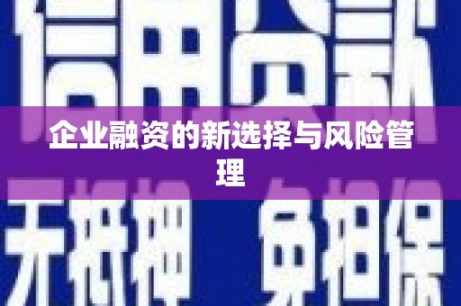 安仁企业融资的新选择与风险管理