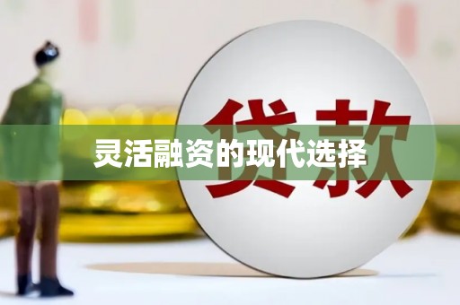 安仁灵活融资的现代选择