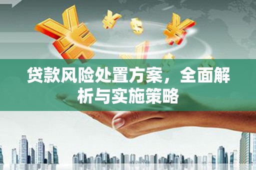 安仁贷款风险处置方案，全面解析与实施策略