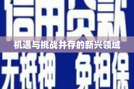 安仁机遇与挑战并存的新兴领域