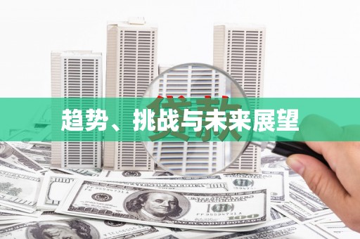 安仁趋势、挑战与未来展望