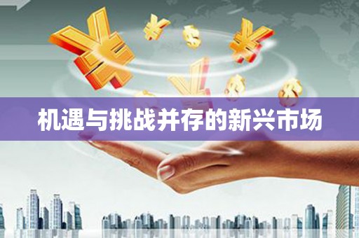 安仁机遇与挑战并存的新兴市场