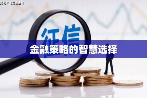 安仁金融策略的智慧选择