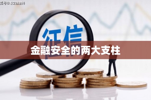安仁金融安全的两大支柱