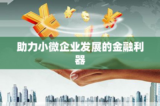 安仁助力小微企业发展的金融利器