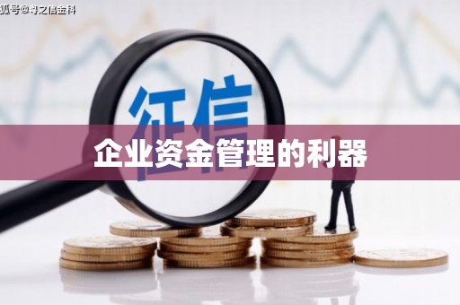 安仁企业资金管理的利器